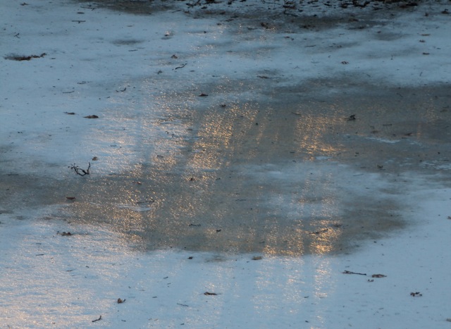 190123bbcut-iceyard4