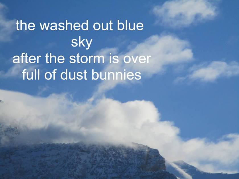 190123bbcut-timhaiku