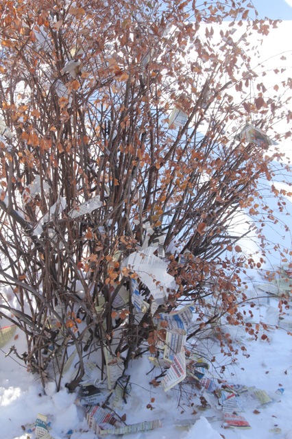 190130bbcut-snowblow1