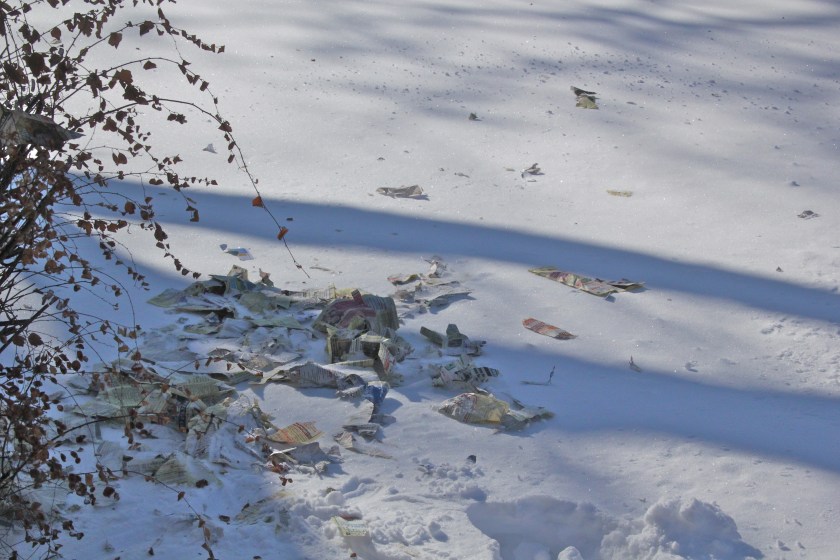 190130bbcut-snowblow2