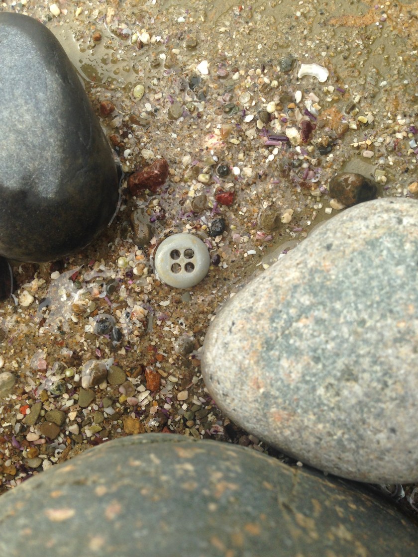 190131bbcut-tidepool2