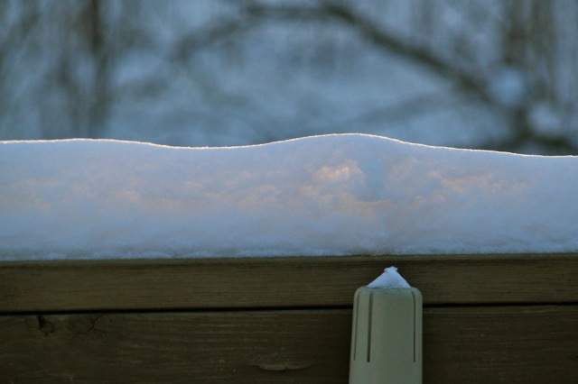 190219bbcut-sunnysnow2