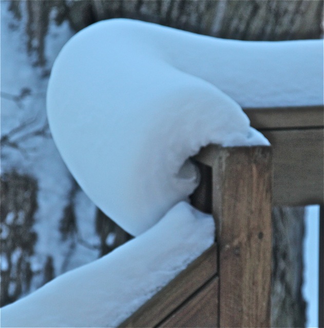 190219bbcut-sunnysnow5