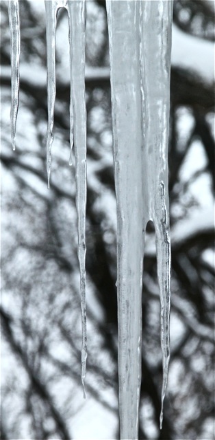 190226bbcut-icicles2