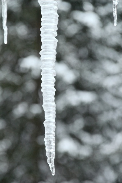 190226bbcut-icicles5