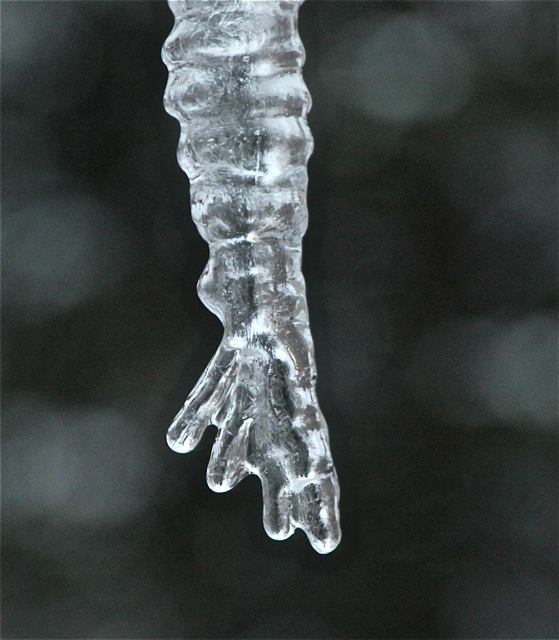 190226bbcut-icicles6