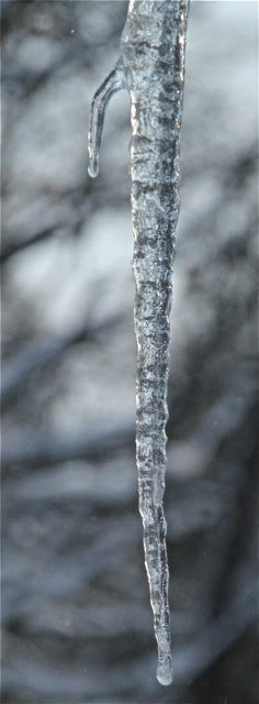 190226bbcut-icicles7