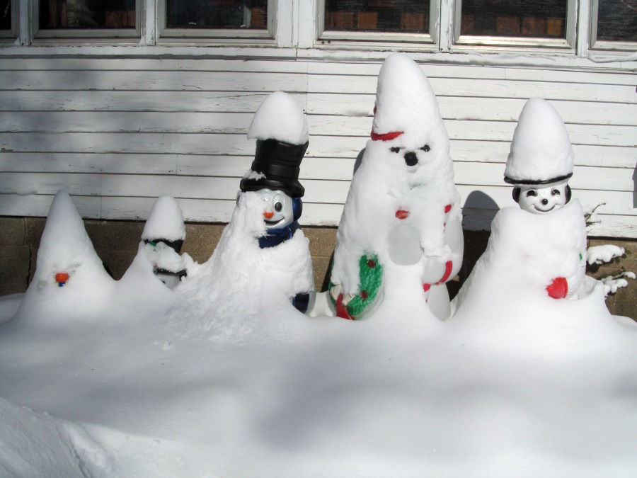 190226bbcut-snowgnomes2