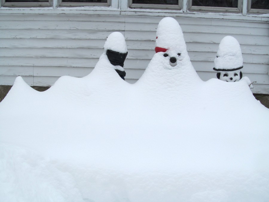 190226bbcut-snowgnomes3