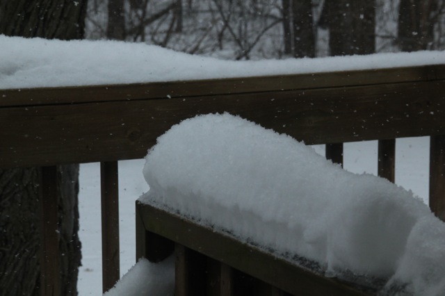 190304bbcut-newsnow1