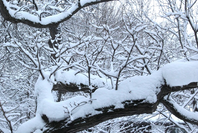 190311bbcut-newsnow1