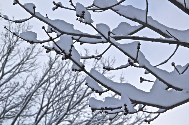 190311bbcut-newsnow3