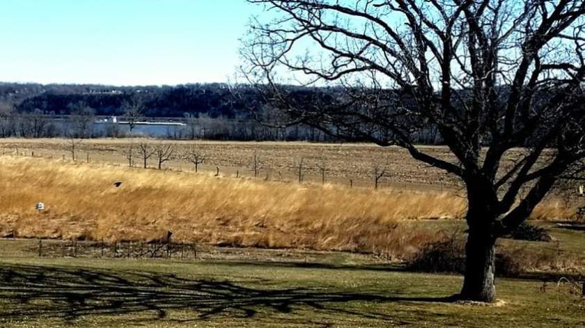 190320bbcut-spring2017