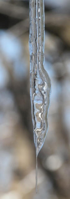 190325bbcut-swedewinter2