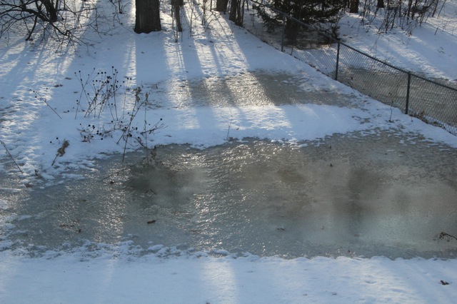 190325bbcut-swedewinter3