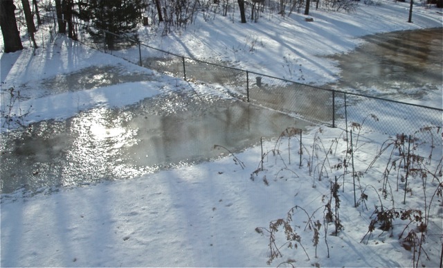 190325bbcut-swedewinter4