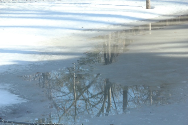 190325bbcut-swedewinter6