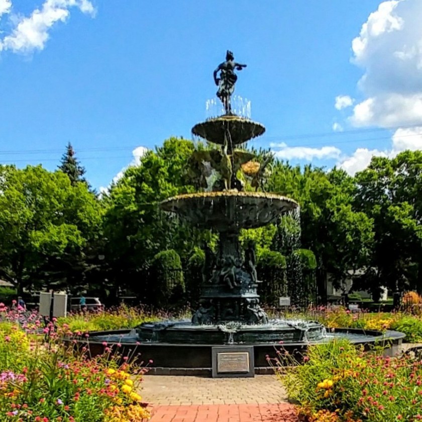 090416bbcut-flowers4