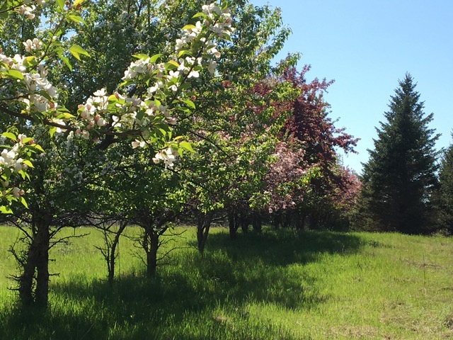 190421bbcut-littlesis2