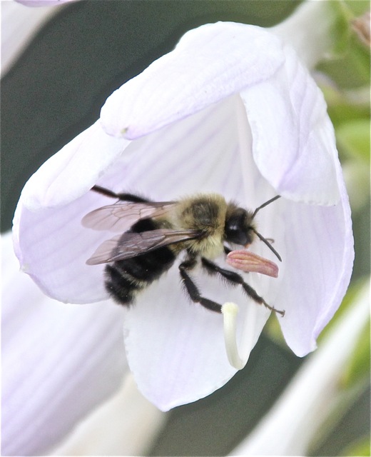 190924bbcut-compost1