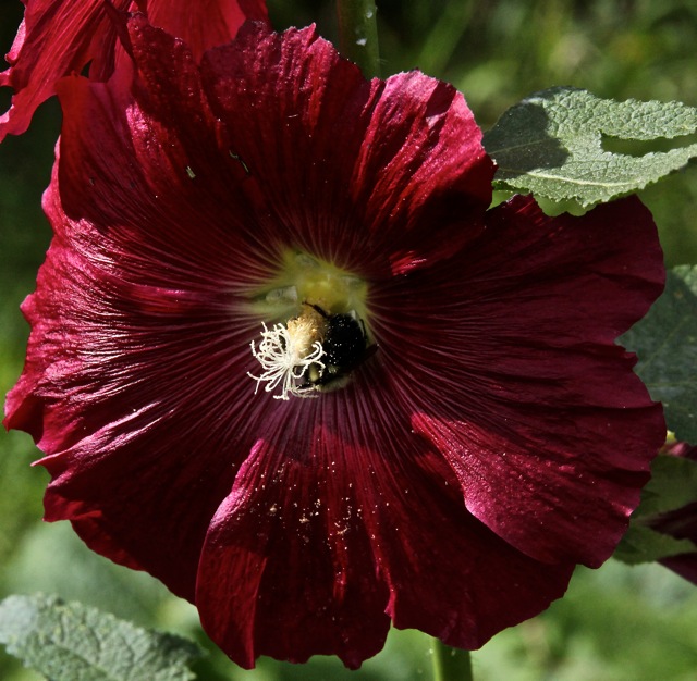 190924bbcut-compost3