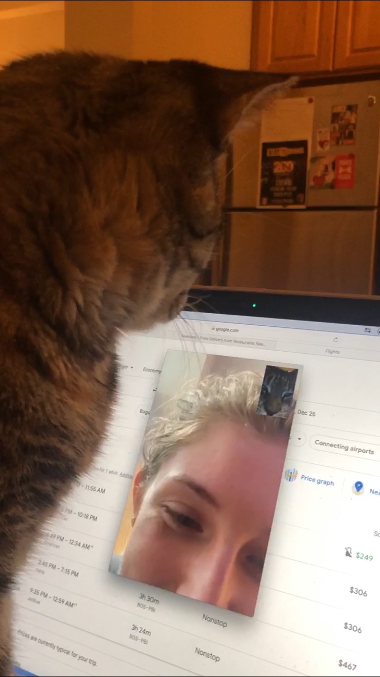 191001bbcut-facetimecat