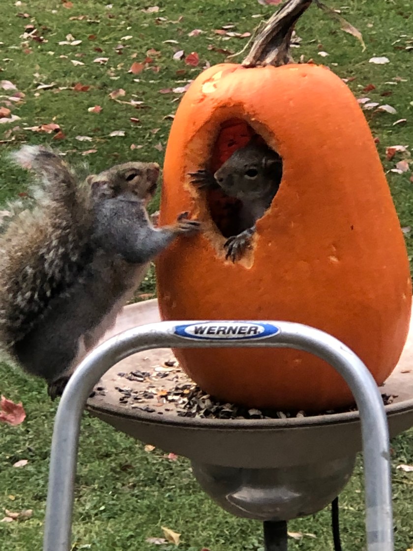 191217bbcut-pumpkin2