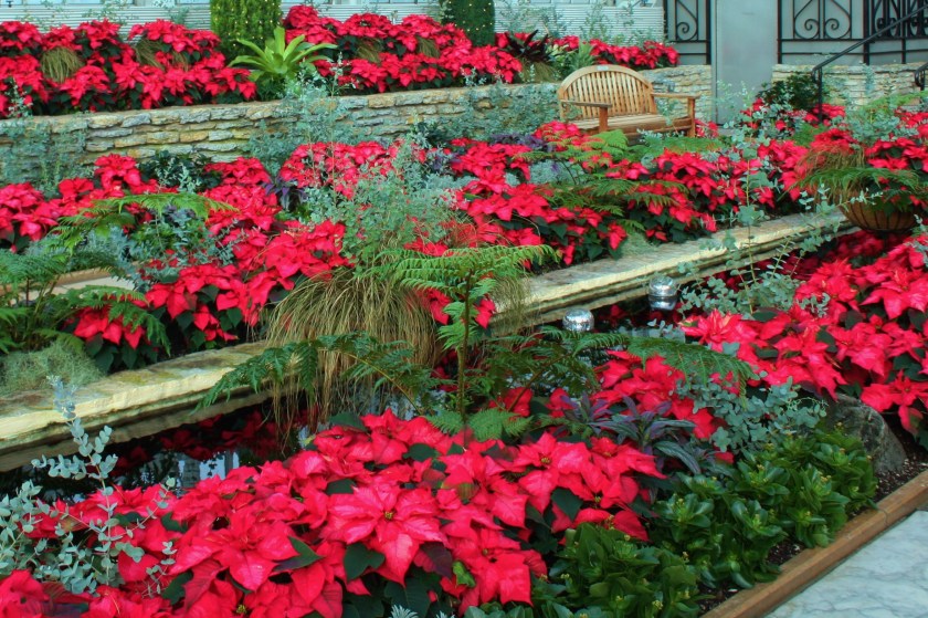 191229bbcut-flowershow2