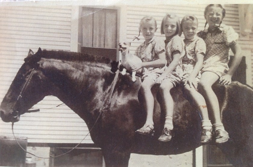 200111bbcut-travelingphotog