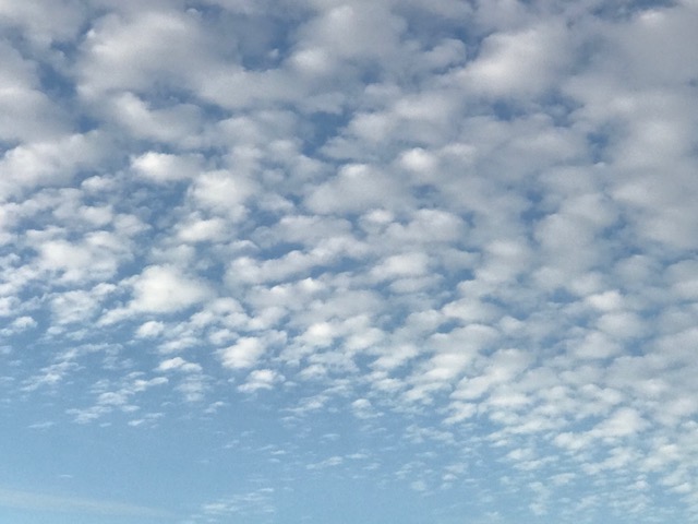 200203bbcut-reflection1