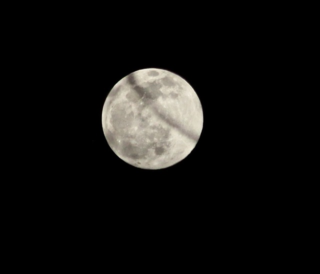 200211bbcut-beforenewsnow4