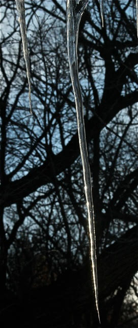 200211bbcut-icicle4
