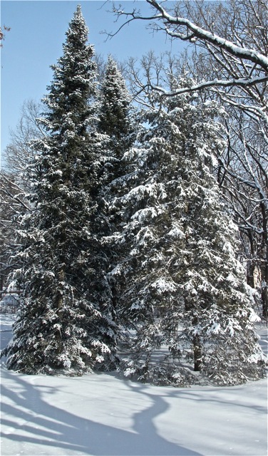 200211bbcut-newsnow1