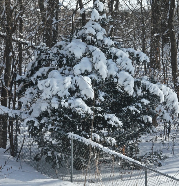 200211bbcut-newsnow2