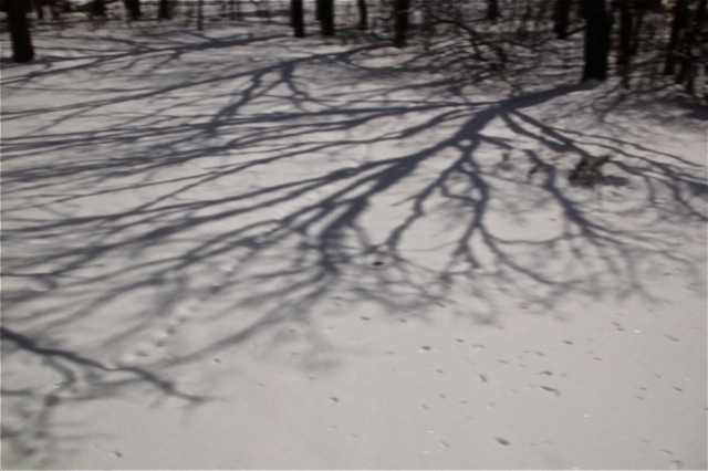 200211bbcut-newsnow3