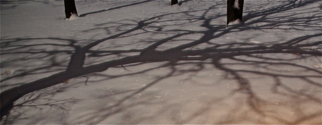 200211bbcut-newsnow4