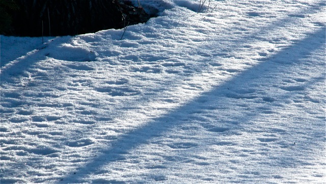 200302bbcut-iceandsnow1
