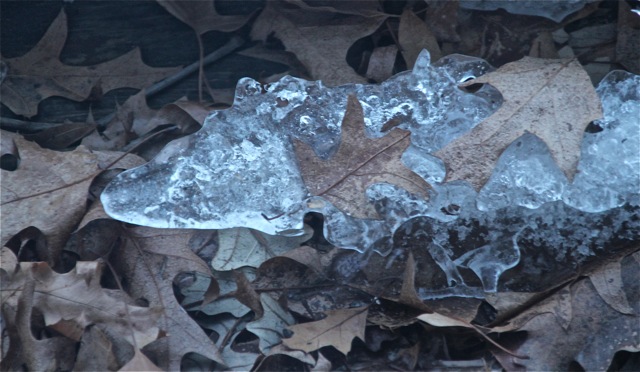 200302bbcut-iceandsnow5