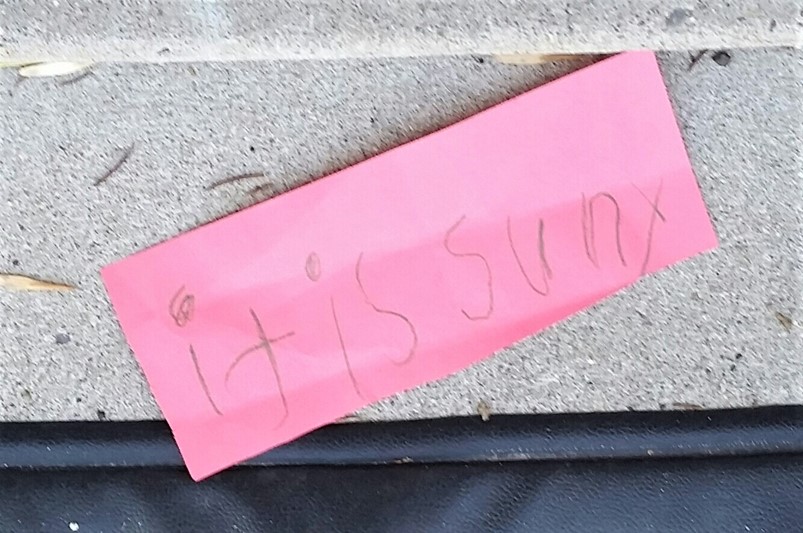 200330bbcut-itissuny