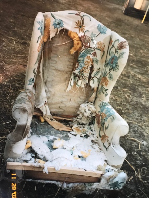 200330bbcut-uglychair1