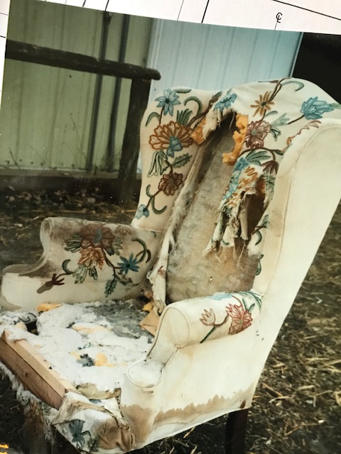 200330bbcut-uglychair2
