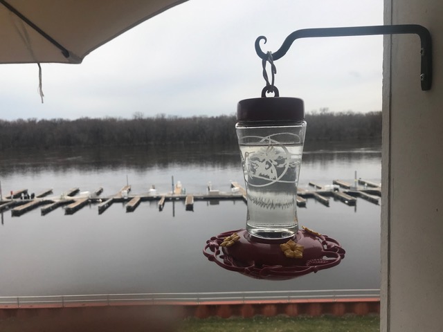 200412bbcut-hummerfeeder