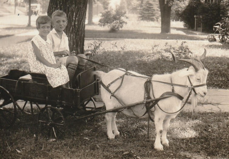 200420bbcut-goatcartmomsens