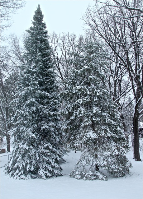 200420bbcut-swedeeaster1