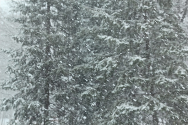 200420bbcut-swedeeaster2