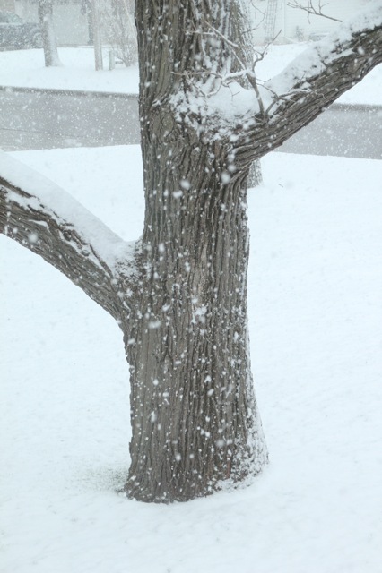 200420bbcut-swedeeaster3