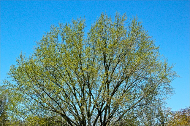 200512bbcut-welcomespring1