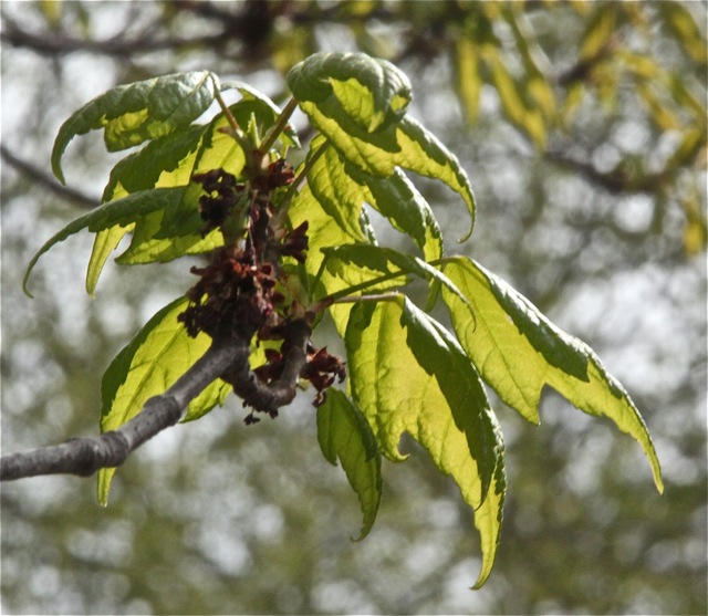 200512bbcut-welcomespring4