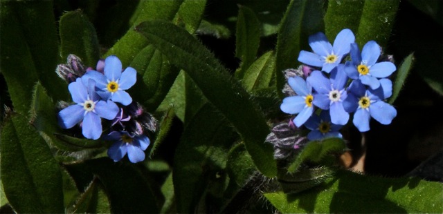 200512bbcut-welcomespring7