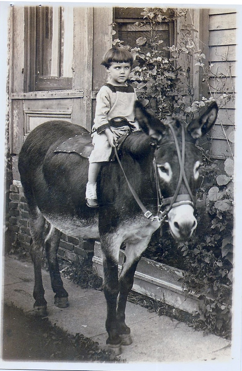 Blind (?) kid on mule